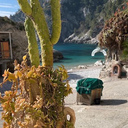 Capri Magic House On The Beach Exterior foto