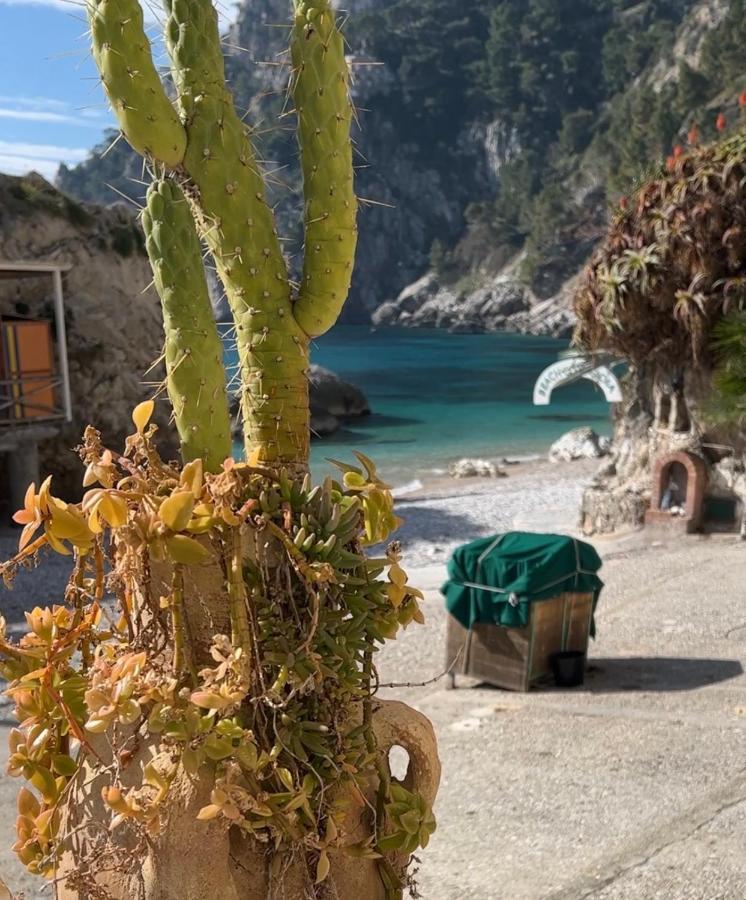 Capri Magic House On The Beach Exterior foto